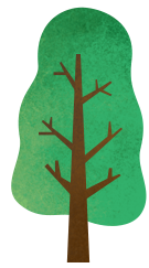 ツリークライミング<sup>®</sup>