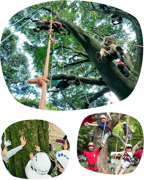 TREE★MAGIC ツリー★マジック